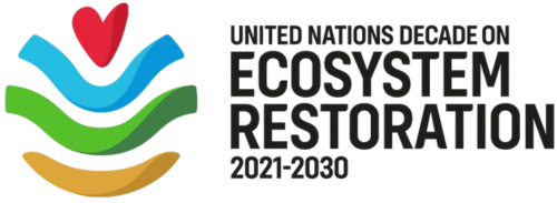 Global Shea Alliance