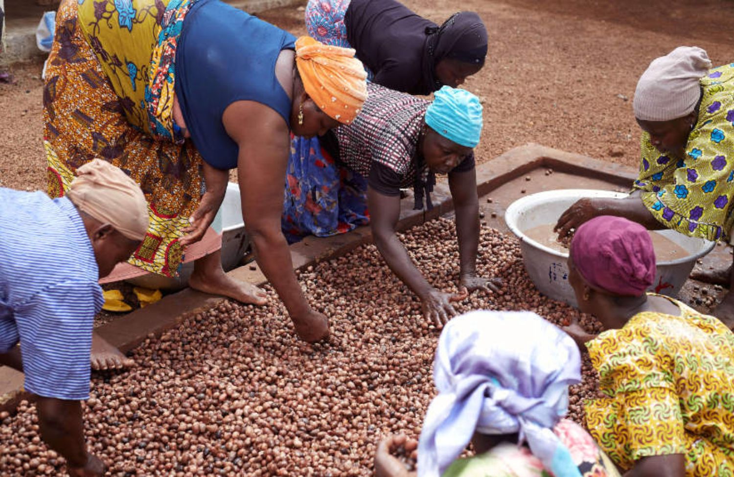 Driving a Sustainable and Inclusive Global Shea Industry